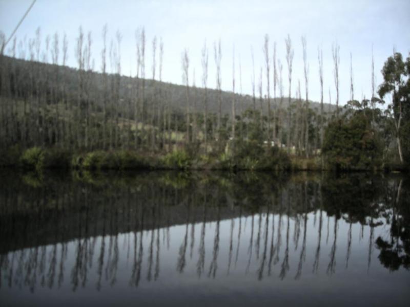 Port Huon Cottages Exterior photo